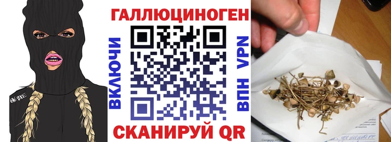 Галлюциногенные грибы мухоморы Юрьев-Польский